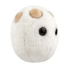 Giantmicrobes Lievito Beer & Bread | Agile Italia