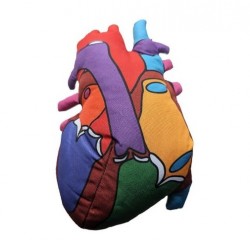 GM MODELLO CUORE XL Heart Model | Agile Italia