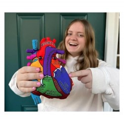 GM MODELLO CUORE XL Heart Model | Agile Italia