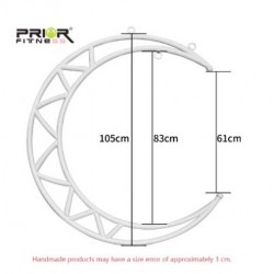 Moon Lyra Hoop - Luna Aerea | Agile Italia