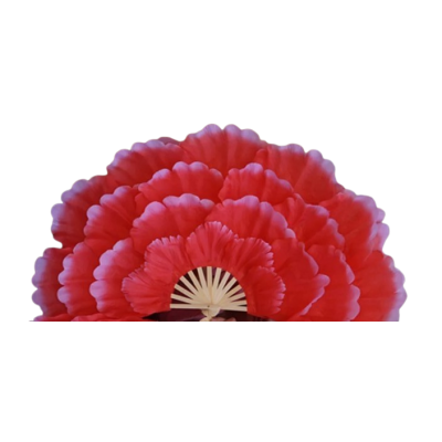 Ventaglio Gigante di Stoffa a Petali | Agile Italia