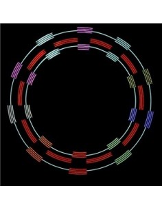Poi Pixel Sticks Lumin-Art | Agile Italia