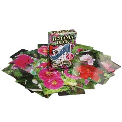 Carte Botanica Deck | Agile Italia