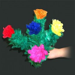 Fiori che Sbocciano x 5 | Agile Italia