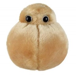 GIANTMICROBES PELUCHE CELLULA ADIPOSA Fat Cell