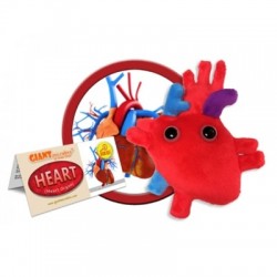 GIANTMICROBES PELUCHE CUORE Heart Organ | Agile Italia