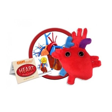 GIANTMICROBES PELUCHE CUORE Heart Organ