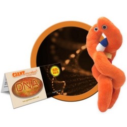 GIANTMICROBES PELUCHE DNA - Deoxyribonucleic Acid