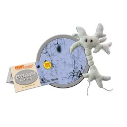 GIANTMICROBES PELUCHE NEURONE CELLULA CEREBRALE Brain Cell