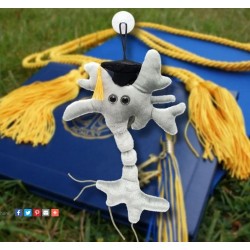 Giantmicrobes Peluche Neurone Cellula Cerebrale Laurea