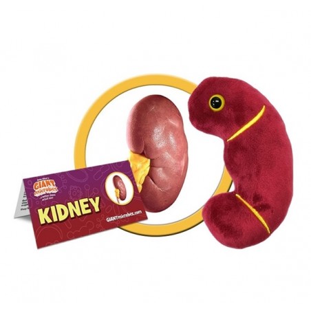 GIANTMICROBES PELUCHE RENE (kidney)
