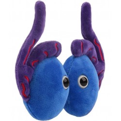 GIANTMICROBES PELUCHE TESTICOLI Testicles | Agile Italia