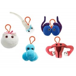 GM BOX PELUCHE LET'S GET IT ON Facciamolo | Agile Italia