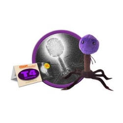 GIANTMICROBES T4 Bacteriophage | Agile Italia