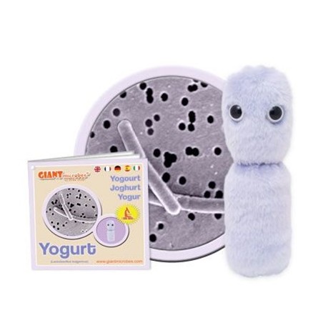 GIANTMICROBES YOGURT (Lactobacillus Bulgaricus)