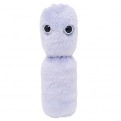 GIANTMICROBES YOGURT (Lactobacillus Bulgaricus)