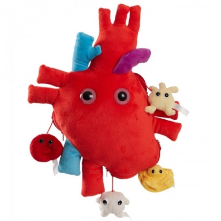 GM CUORE XL E MINI Heart organ minis