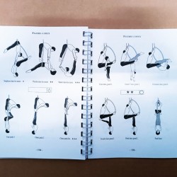 Libro Metodologia Cerchio Aereo | Agile Italia