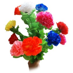 Fiori dal nulla - Apparizione mazzo grande | Agile Italia