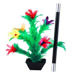 Fiorin Fiorello - Apparizione dei fiori De Luxe