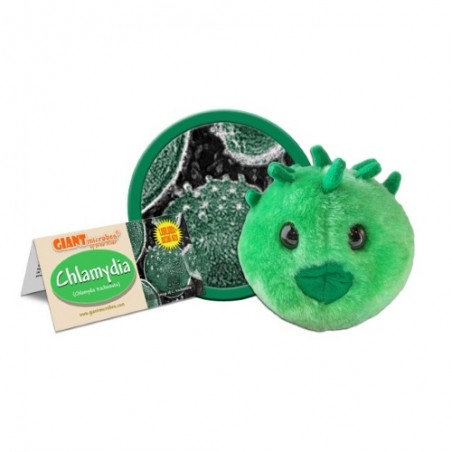 GIANTMICROBES CHLAMYDIA - Chlamydia Trachomatis