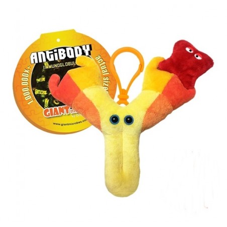 GIANTMICROBES PORTACHIAVI ANTICORPI Antibody
