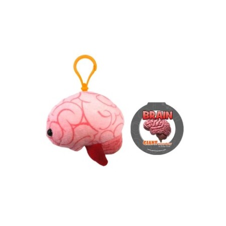 GIANTMICROBES PORTACHIAVI CERVELLO Brain