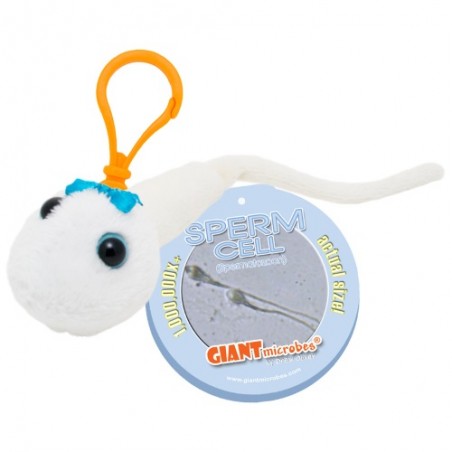 GIANTMICROBES PORTACHIAVI SPERMATOZOO