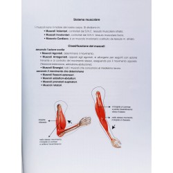 Libro Manuale di Cerchio Aereo | Agile Italia
