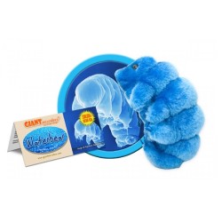 GIANTMICROBES ORSO D'ACQUA Waterbear - Tardigrade