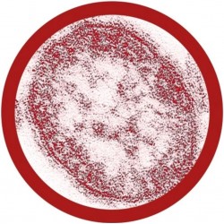 GIANTMICROBES MORBILLO Measles - Morbillivirus