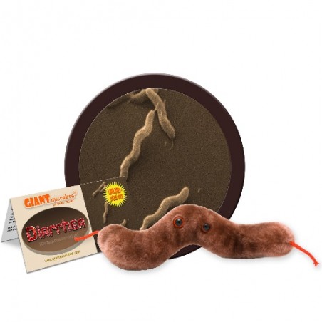 GIANTMICROBES DIARREA