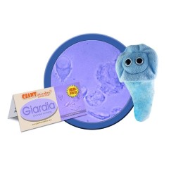 Giantmicrobes Giardia | Agile Italia