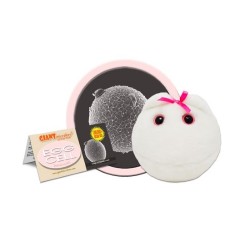 GIANTMICROBES OVULO Egg Cell | Agile Italia