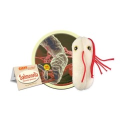Giantmicrobes Salmonella | Agile Italia