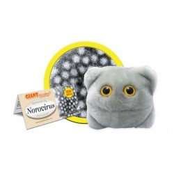 GIANTMICROBES VIRUS DI NORWALK Norovirus | Agile Italia