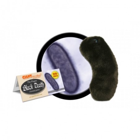 GIANTMICROBES PESTE NERA Black Death