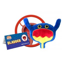 GIANTMICROBES VESCICA Bladder | Agile Italia
