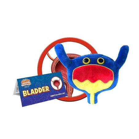 GIANTMICROBES VESCICA Bladder