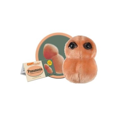 GIANTMICROBES POLMONITE Pneumonia