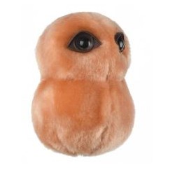 GIANTMICROBES POLMONITE Pneumonia | Agile Italia