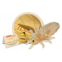 GIANTMICROBES PIDOCCHIO Louse | Agile Italia