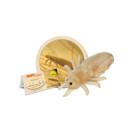 GIANTMICROBES PIDOCCHIO Louse