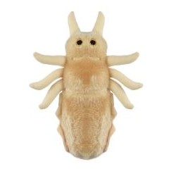 GIANTMICROBES PIDOCCHIO Louse | Agile Italia