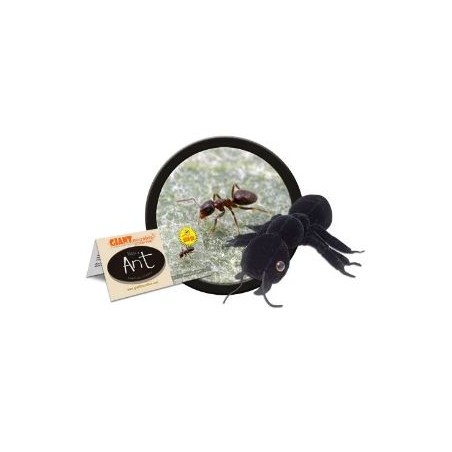 GIANTMICROBES FORMICA NERA Black Ant