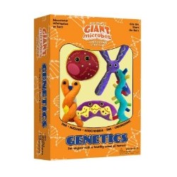 Gm Box Genetics | Agile Italia