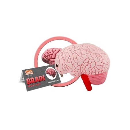 GIANTMICROBES CERVELLO brain