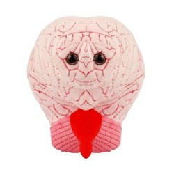 GIANTMICROBES CERVELLO brain | Agile Italia