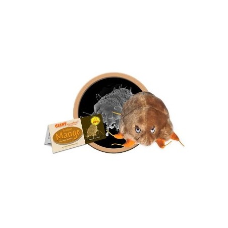 GIANTMICROBES SCABBIA Mange (Sarcoptes Scabiei)