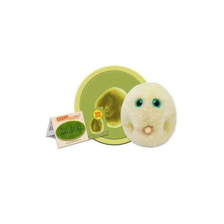 GIANTMICROBES POLLINE - FEBBRE DA FIENO Pollen (Hay Fever)
